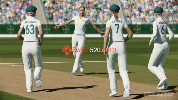 cricket_game_3