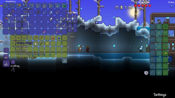 terraria_screenshot_8
