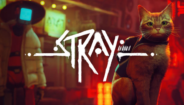 stray_main