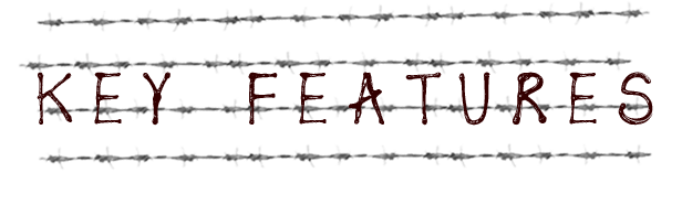 key_features